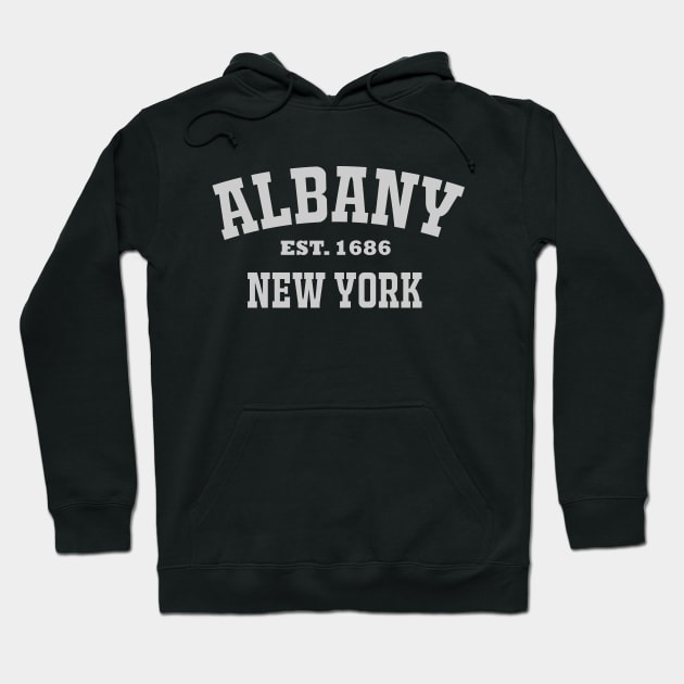 Albany, New York Hoodie by MtWoodson